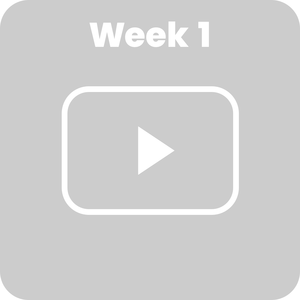 Week 1: Perfect Practice