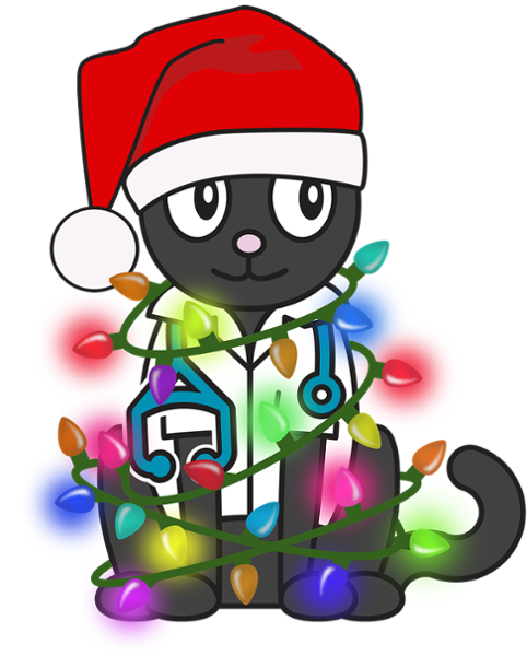 Dr. Kat Holiday Discount