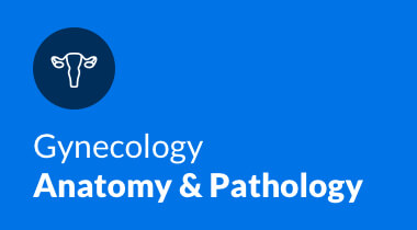 https://5092121.fs1.hubspotusercontent-na1.net/hubfs/5092121/Course%20Images/Course_Image_Gynecology_Anatomy.jpg