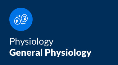 https://5092121.fs1.hubspotusercontent-na1.net/hubfs/5092121/Course%20Images/Course_Image_Physiology.jpg
