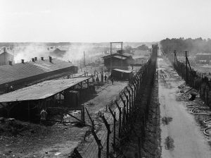 A black and white photograph of the Bergen-Belsen concentration camp
