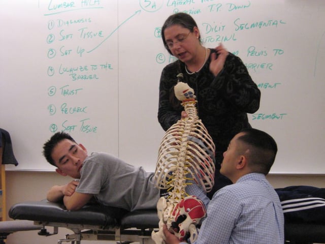 An educator leads OD students through a required 250-hour OMM course the muscular and skeletal system by showcasing a model of the skeletal system..