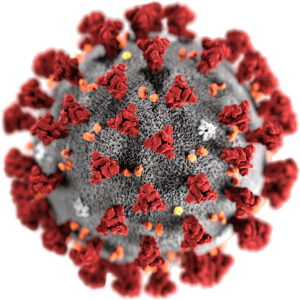 An illustration depicting the structure of coronaviruses
