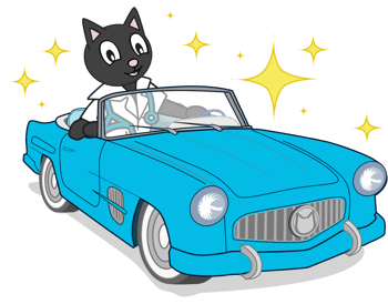 Dr Kat Roadmap