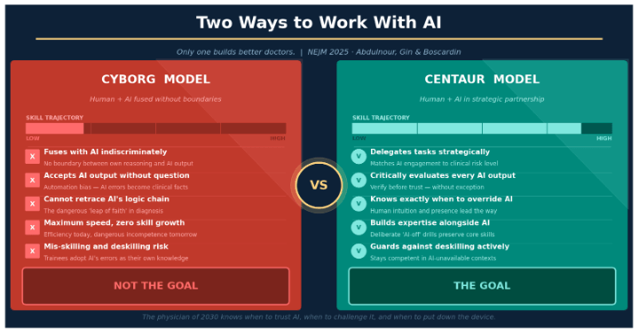 Cyborg vs Centaur Models to work with AI