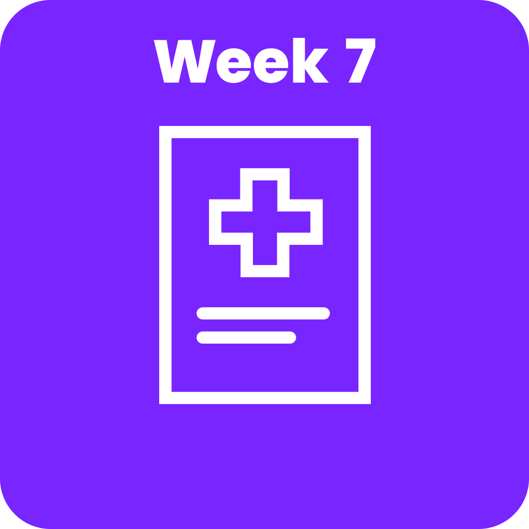 Course_Image_IB_Documentation_1050x1050