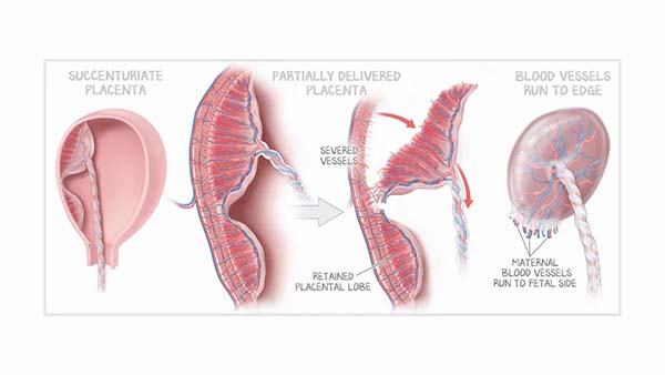clinical-video-img