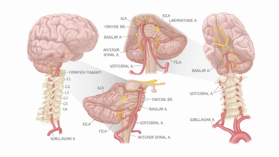 preclinical-video-img